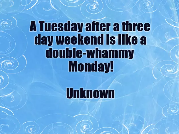 Good Morning Tuesday Funny Good Morning Tuesday Funny