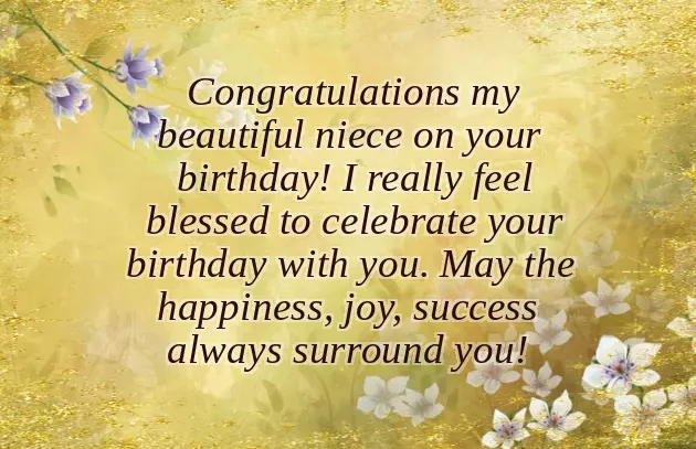 Little Niece Birthday Little Niece Birthday