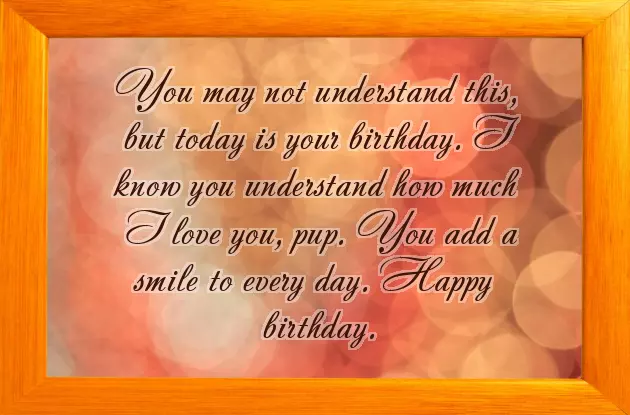 Birthday Wishes From Dog Birthday Wishes From Dog