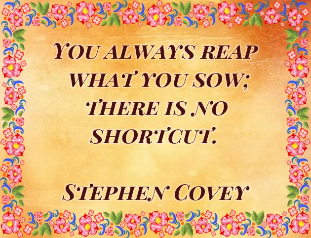 Plant Quotes Short Plant Quotes Short