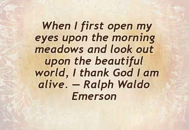 Best Romantic Good Morning Message For Her Best Romantic Good Morning Message For Her