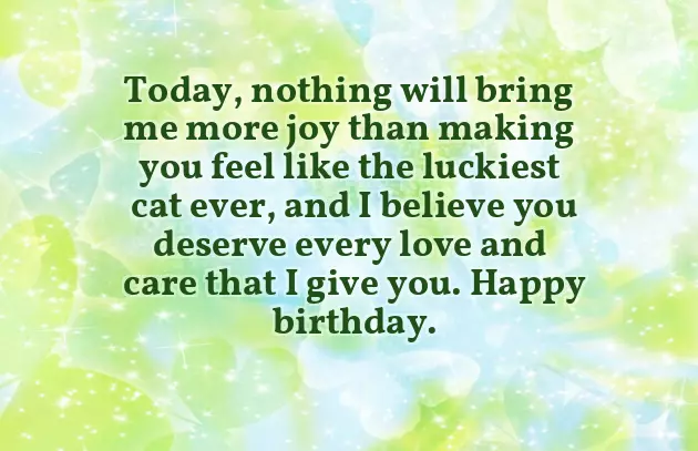 Birthday Wishes For Cats Birthday Wishes For Cats