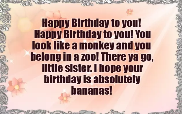 Happy Birthday Older Sister Funny