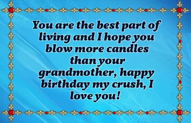 Happy Birthday Wishes Crush Happy Birthday Wishes Crush