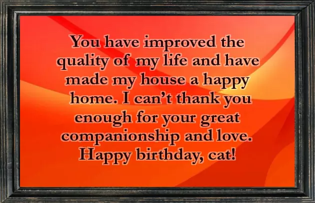 Birthday Wishes For Cats Birthday Wishes For Cats