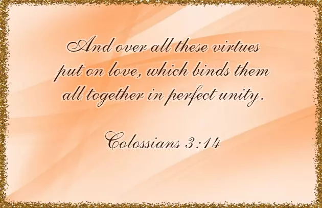 Happy Wedding Anniversary To My Wife Happy Wedding Anniversary To My Wife
