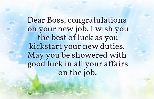 Wishes On New Job