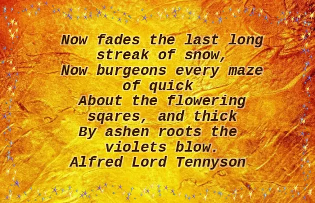 Funny Funeral Poems For A Friend Funny Funeral Poems For A Friend