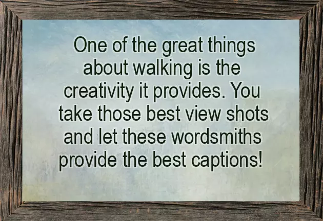 Walking Quotes Walking Quotes