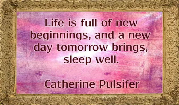 Good Night Wishes Quotes Good Night Wishes Quotes