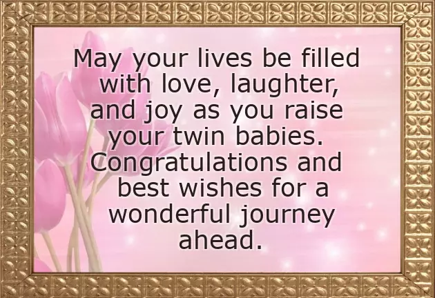 Congratulations For Baby Twins Congratulations For Baby Twins