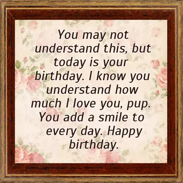 Dogs Birthday Wishes