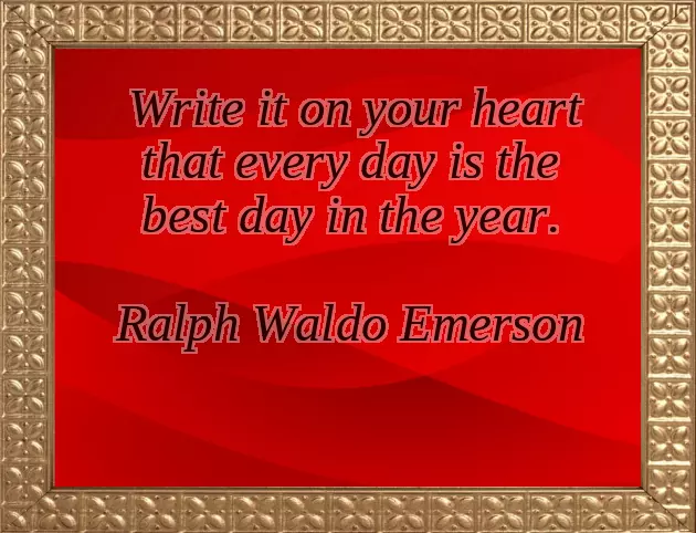 Funniest New Year Wishes Funniest New Year Wishes