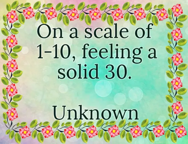 Funny 30Th Birthday Quotes Funny 30Th Birthday Quotes