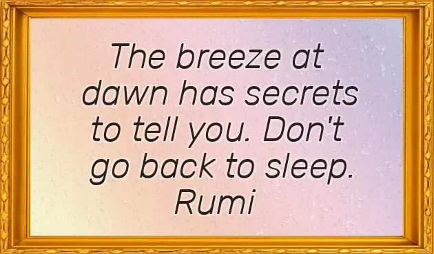 Sweet And Romantic Good Morning Messages For Him Sweet And Romantic Good Morning Messages For Him