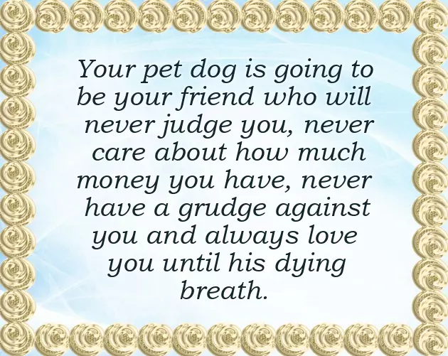 Congratulations On Your New Dog Congratulations On Your New Dog