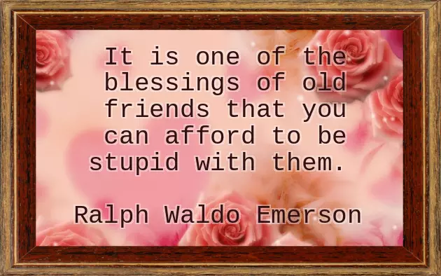 Funny Quotations Funny Quotations