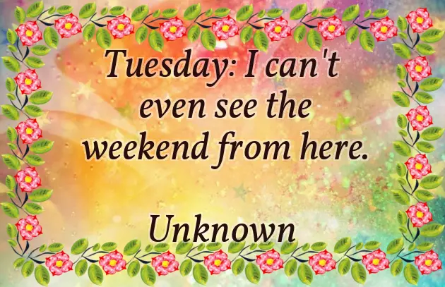 Good Morning Tuesday Funny Good Morning Tuesday Funny