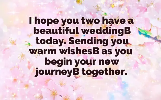 Best Wishes Wedding Best Wishes Wedding