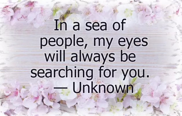 Birthday Quotes From Husband To Wife