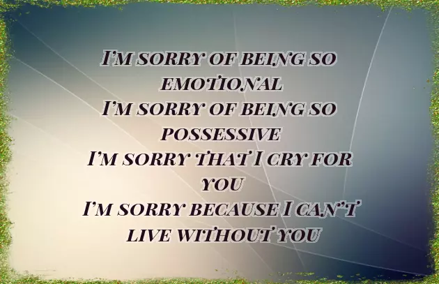 Poetry For Sorry Poetry For Sorry