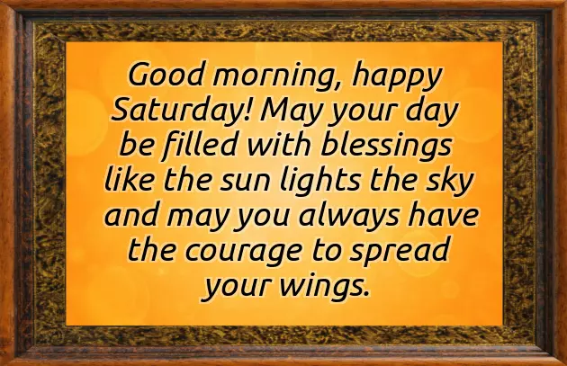 Good Afternoon Happy Saturday Good Afternoon Happy Saturday