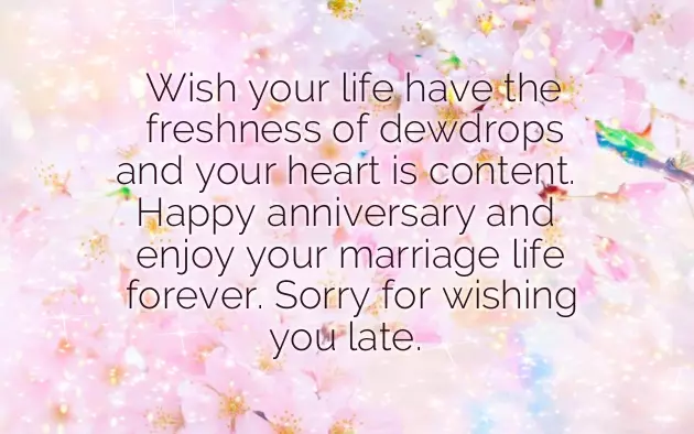 Happy Anniversary Wishes Both Of You Happy Anniversary Wishes Both Of You