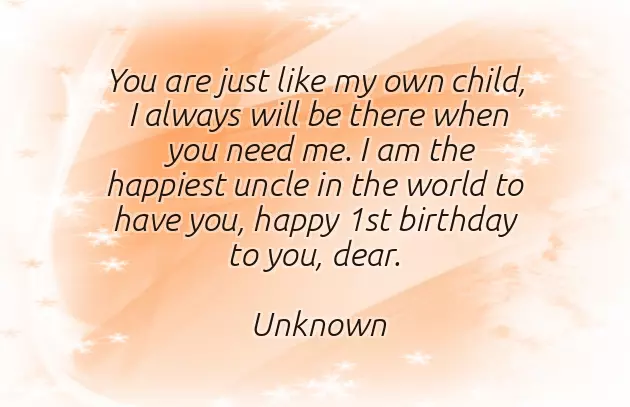 Nephew Birthday Quotes Funny