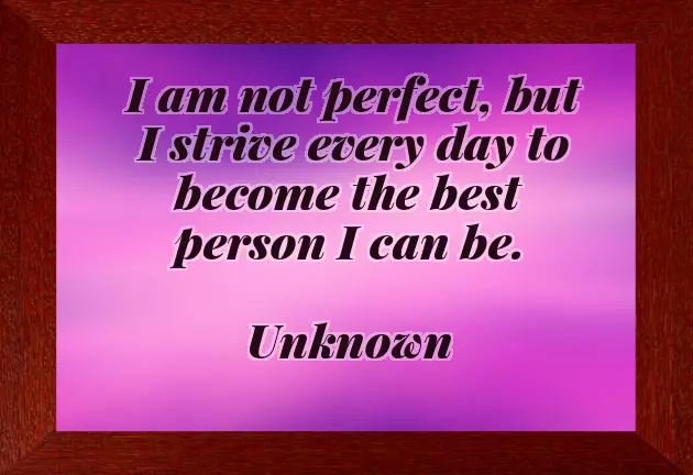 No One Is Perfect Quotes No One Is Perfect Quotes