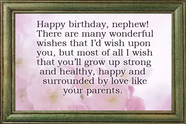 Best Nephew Birthday Quotes Best Nephew Birthday Quotes