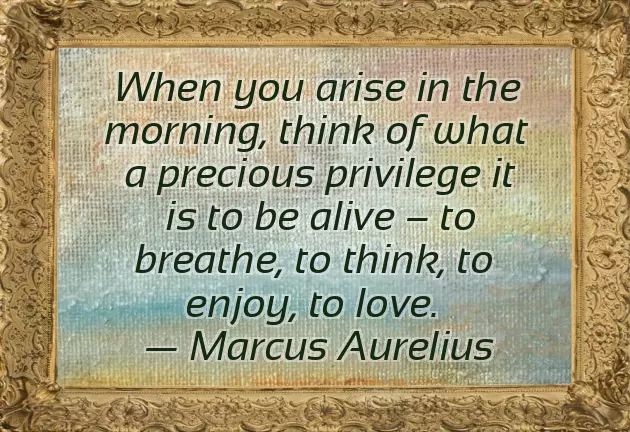 Giving Importance Quotes Giving Importance Quotes