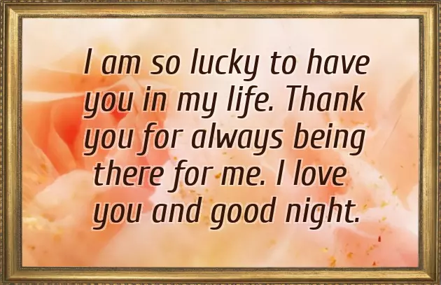 Good Night To My Love Good Night To My Love