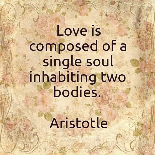 Message For Marriage Wishes Message For Marriage Wishes