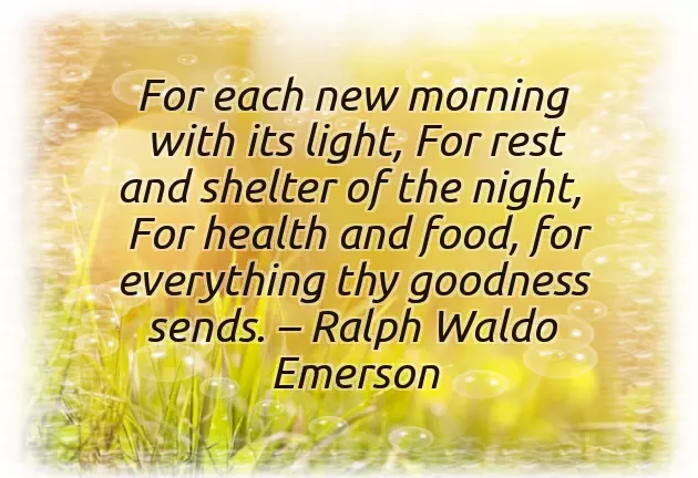 Good Morning Message To A Beautiful Woman