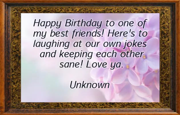Funny Quotes For Birthday Of Best Friend Funny Quotes For Birthday Of Best Friend