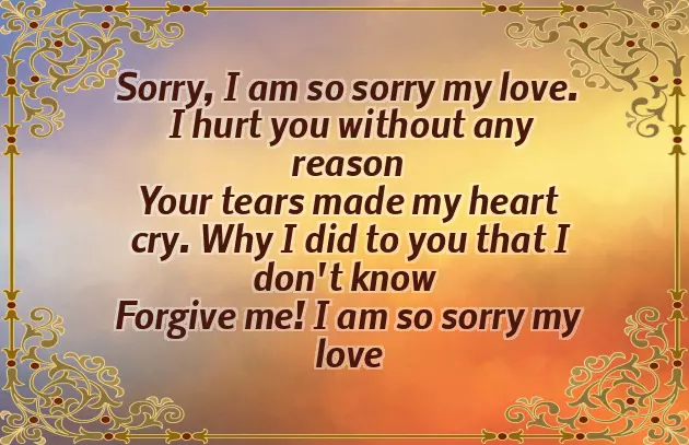 Poetry For Sorry Poetry For Sorry