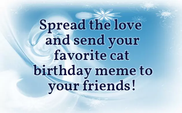 Happy Birthday Kitty