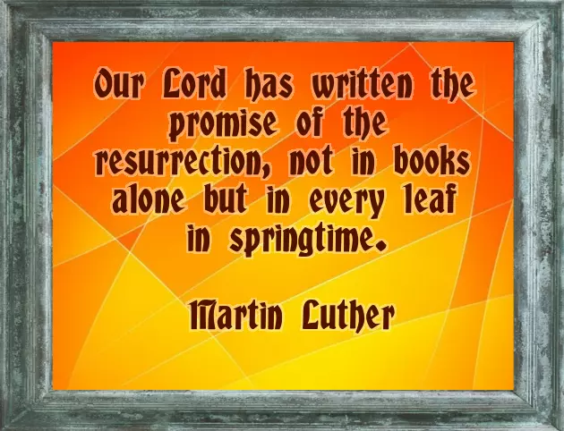Easter Wishes Quotes Messages Easter Wishes Quotes Messages
