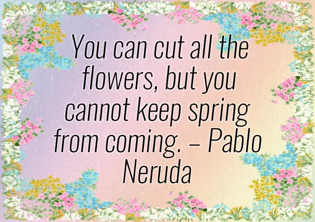 Easter Congratulations Message Easter Congratulations Message