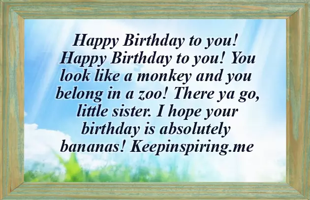 Happy Birthday Brother Funny Wishes Happy Birthday Brother Funny Wishes