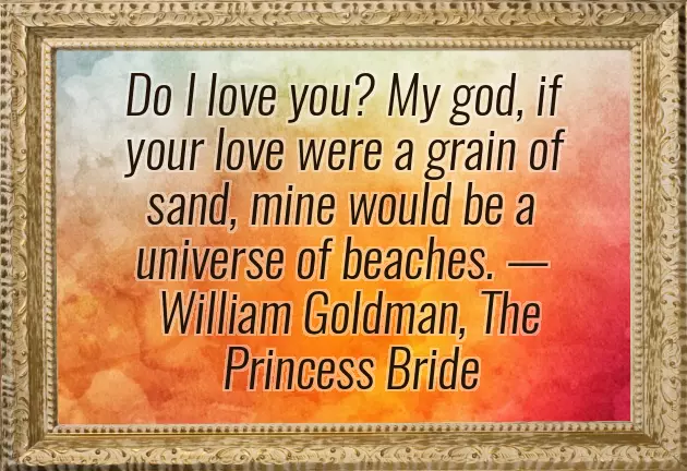 Wedding Countdown Caption