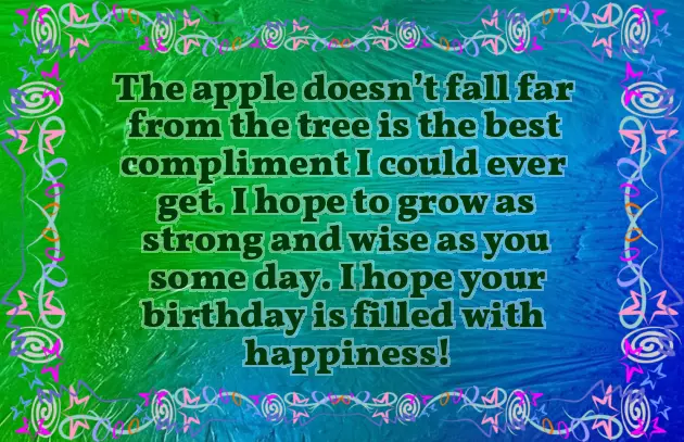 Happy Birthday Dad Funny Happy Birthday Dad Funny