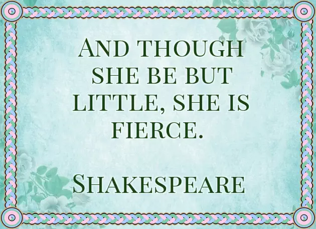 Baby Is Born Congratulations Baby Is Born Congratulations