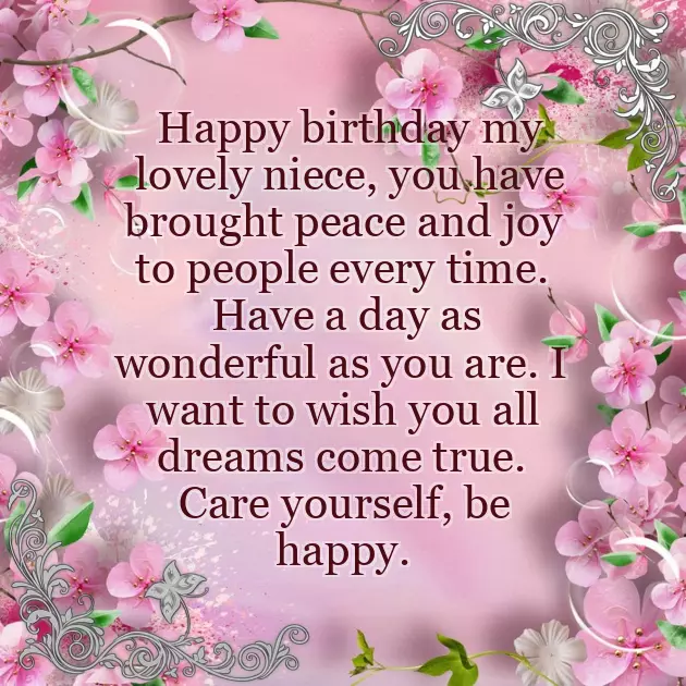 Happy Birthday To My Niece Funny Quotes Happy Birthday To My Niece Funny Quotes