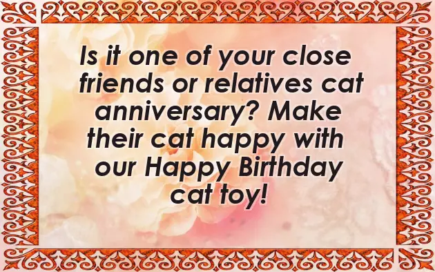 Happy Birthday Cat