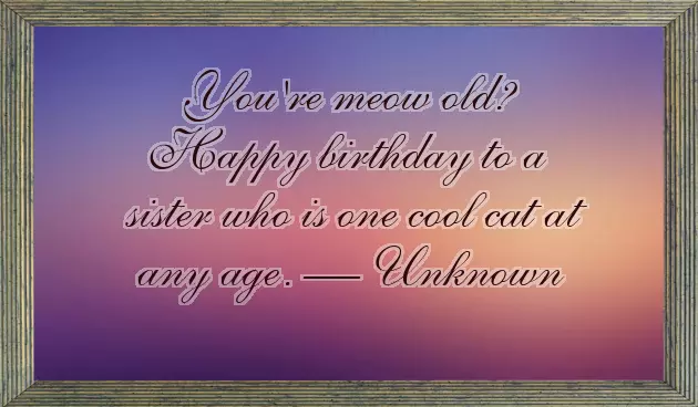 Sister Birthday Jokes Sister Birthday Jokes