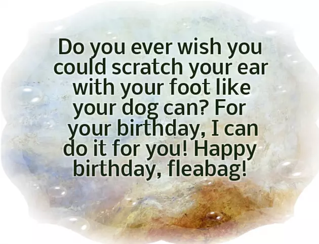 Birthday Wishes From The Dog