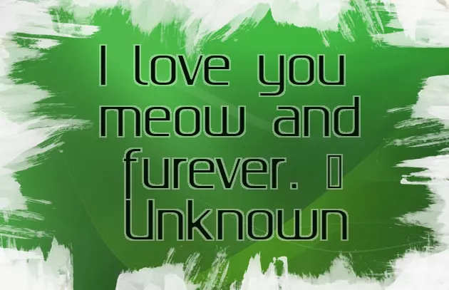 Birthday Wishes For Cat Birthday Wishes For Cat