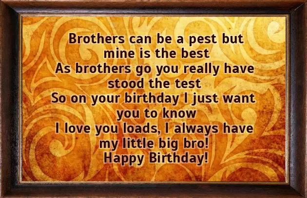 Funny Happy Birthday Brother Poems From Sister Funny Happy Birthday Brother Poems From Sister