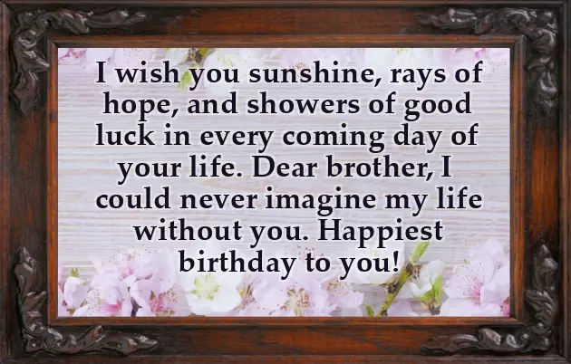 Best Wishes To Brother On Birthday